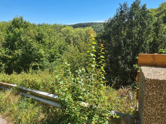 unweit A5 Schriesheim liegen 2 (Traum)Grundstücke im schönen Heiligkreuzsteinach zum Eigentümerwechsel bereit.