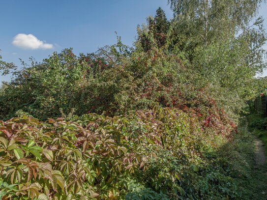 Verwirklichen Sie Ihren Traum vom EIGENHEIM - 610m² großes Baugrundstück in Karow