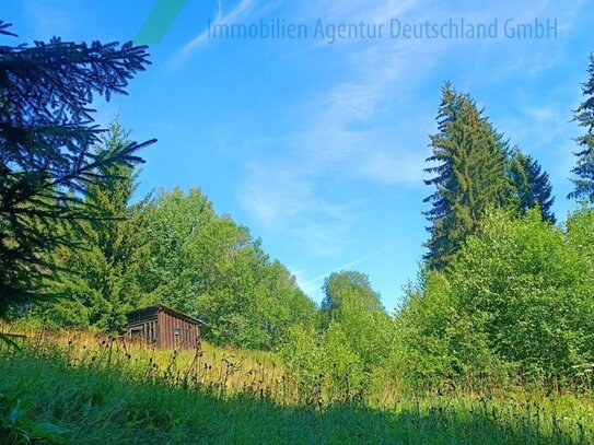 Haus im Trockenrohbauzustand mit ca. 7000 m² Grundstück! Absolut ruhige Randlage inmitten unberührter Natur!