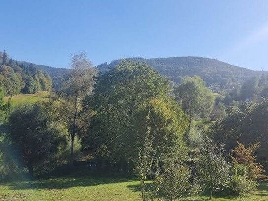 Traumhafte Wohnung mit "Loft-Charakter" und Außen-Wellnessbereich in ruhiger Lage von Bad Herrenalb