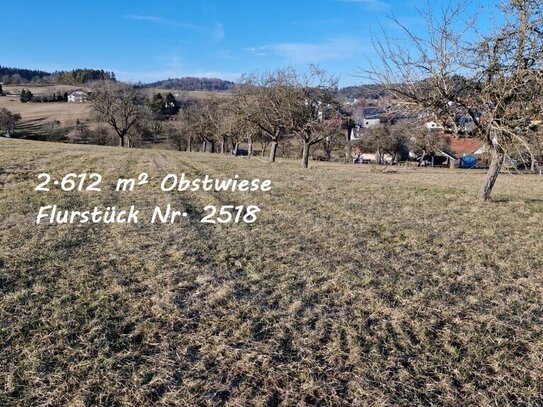 Obsthof - Obstwiese - Landwirtschaftliche Grundstücke - in Immendingen OT Mauenheim zu verkaufen!