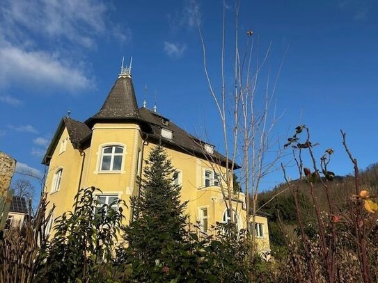 Kernsanierte Altbau Wohnung mit Blick auf´s Auerbacher Schloss