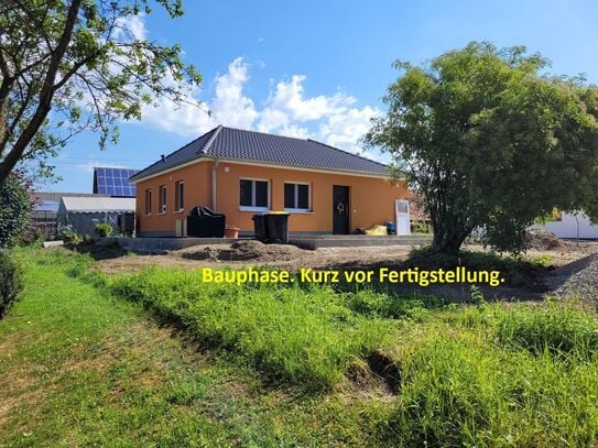 Bungalow mit Wintergarten sucht 2 neue Bewohner