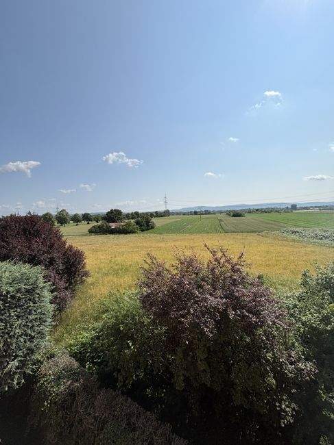 Immobilie in Hainburg - *Hainburg* Reihenendhaus mit Garage in Feldrandlage - Bild 0