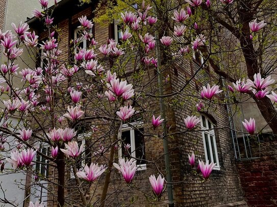 Charmante 2-Zimmer-Wohnung im Herzen der Heidelberger Weststadt