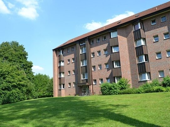 Mit neuem Laminatboden und Sanitärobjekten! 3-Zimmer-Wohnung in Detmold Knochenbach mit Balkon