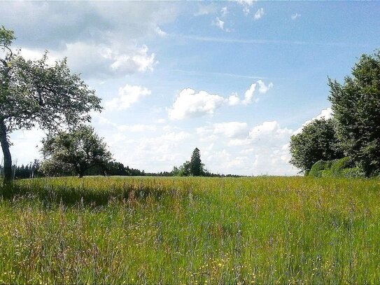 Seltenheit, Wunderbares Baugrundstück mit Weitblick - Der perfekte Ort für ein neues Zuhause -