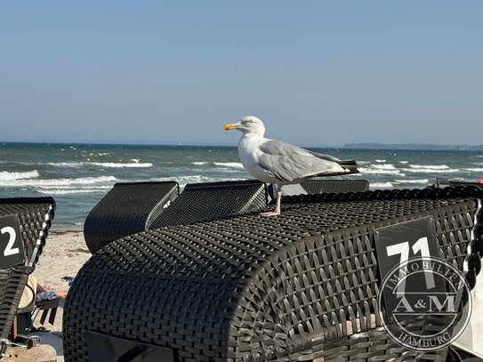 ++ FERIENVERMIETUNG ERLAUBT - Grundstück für ein MFH an der Ostsee ++