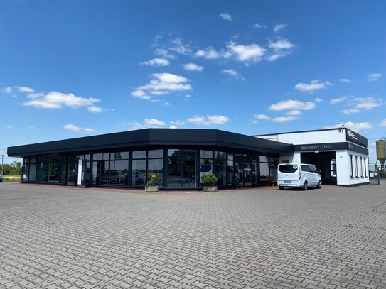 Lichtdurchfluteter Showroom in modernem Autohaus in Dessau