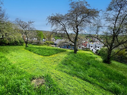 Streuobstwiese, Garten, Feldrandlage! Traumhaftes Einfamilienhaus mit idyllischem Grundstück