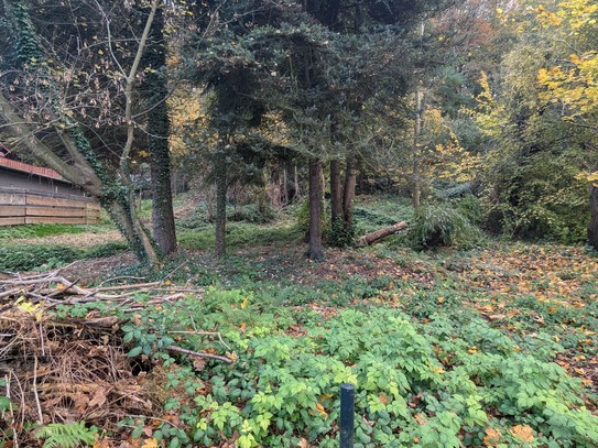 Großes Baugrundstück am Elberadweg in Pirna