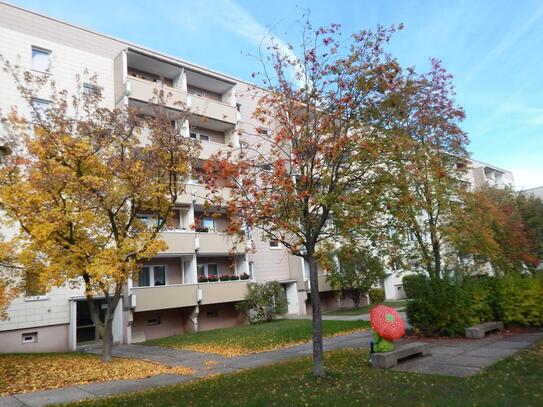 Top renovierte 3-Raum-Wohnung