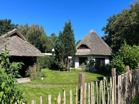 Kleines reetgedecktes Achteck-Haus direkt am Wald in Born a. Darß