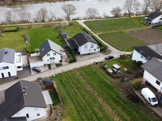 Wohnen zwischen Mosel und Weinbergen - Baugrundstück in Schleich