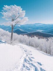 WIR hinterlassen KEINE SPUREN im SCHNEE...wir hinterlassen EINDRÜCKE !! EFH inkl. Grundstück von Bien Zenker