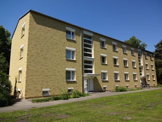 Schöne 2,5 Zimmer Wohnung mit Balkon!