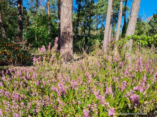 Grundstück mit Altbestand in idyllischer Lage - Erholung vor der Tür