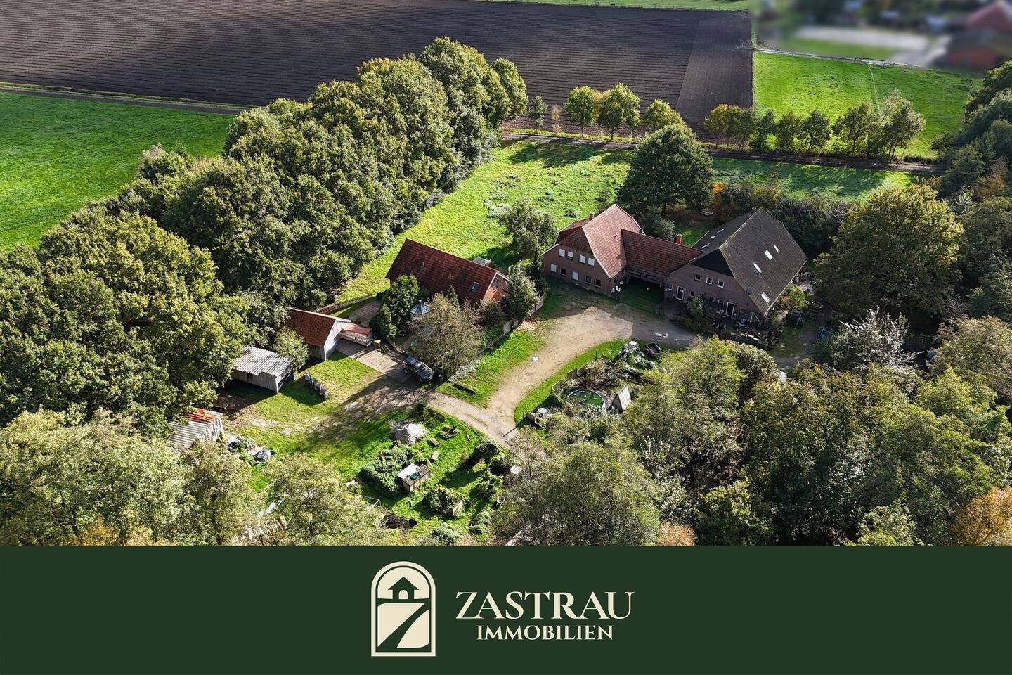 Real Estate Title Image Background