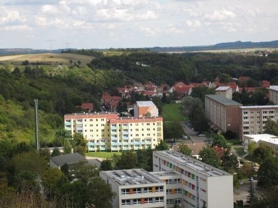 1-Raum sonnig im GRÜNEN mit BALKON+AUFZUG- zentral und gemütlich