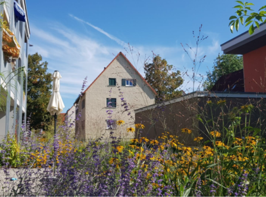 Attraktiver Neubau in naturnaher, ruhiger Wohnsiedlung