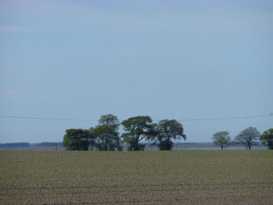 Wald und Ackerland an der Ostsee, in Mecklenburg-Vorpommern hinter dem Darß, vor Rügen