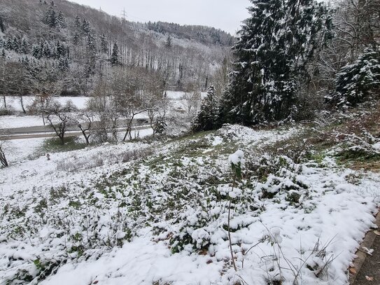 Baugrundstück ohne Bauzwang direkt an der Schweizer Grenze