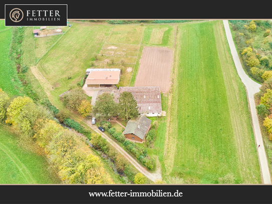 Ruhig gelegener Pferdehof in Lorsch an der Bergstraße mit romantischem Holzhaus!