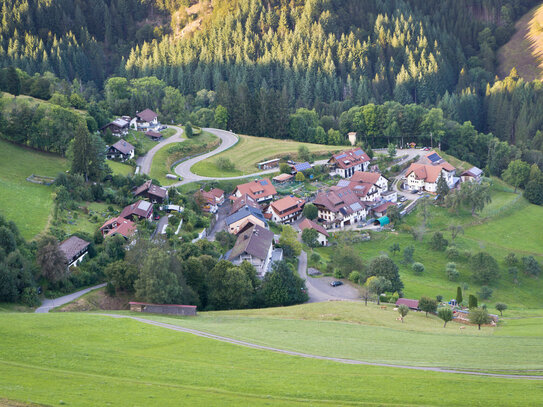 Ruhig gelegenes Einfamilienhaus am Naturschutzgebiet Belchen