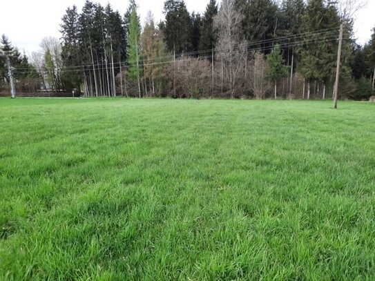 Grünland in Hörlkofen in der Oberauer Straße