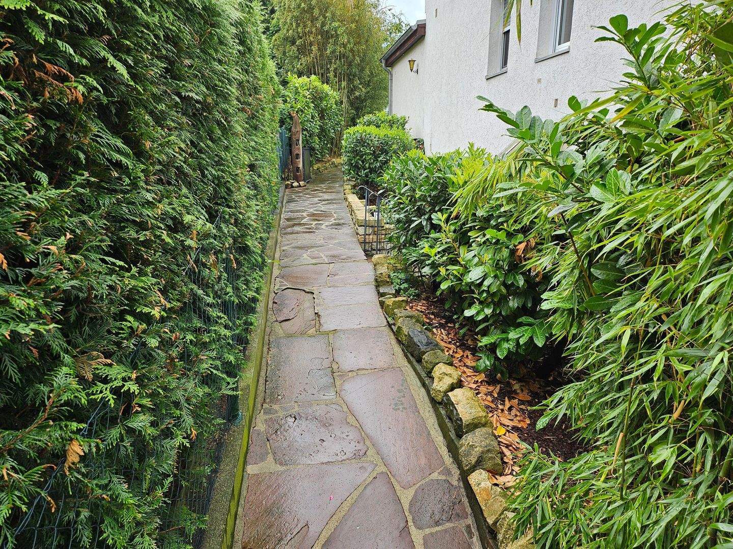 Hell & möbliert - ruhige & grüne Lage (Wald & Wasser) - aber zentrumsnah - Photo 1