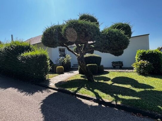 Außergewöhnlich schöne Villa *ruhige Lage* nicht einsehbares Grundstück, sehr stadtnah