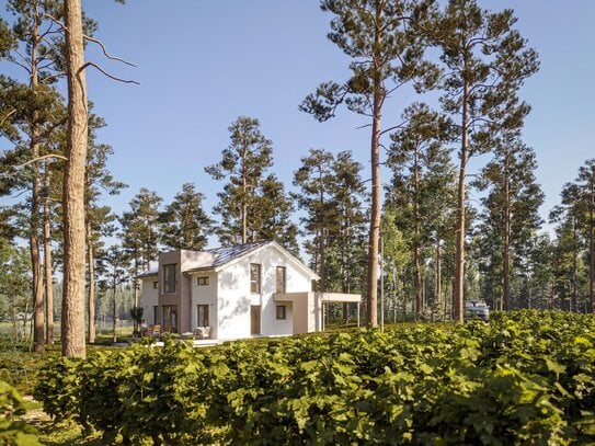 Neues Jahr - Neues Traumhaus