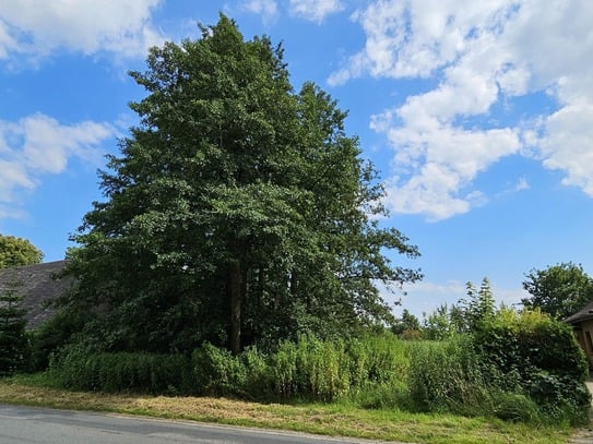 SPIEKA: über 1000 m² Bauplatz (Baulücke) für Wohnhaus, Süd-Blick ins Grüne, bauträgerfrei