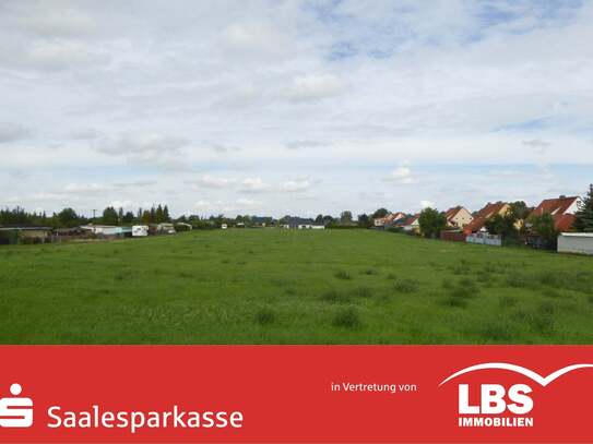 Wohnpark am Elisabethring - am Rande des Geiseltalsees!