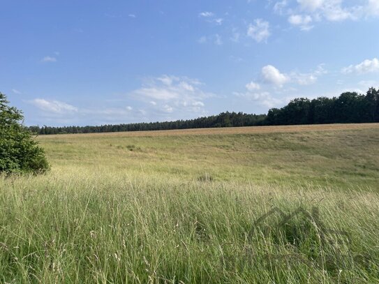 Hier finden Sie noch bezahlbaren Baugrund in Schnaittach Laipersdorf