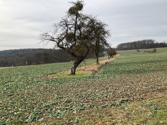 Zwei landwirtschaftliche Grundstücke in Wüstenwelsberg