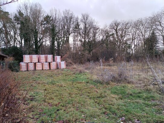 großzügiges Grundstück mit Baugenehmigung für ein EFH in absolut ruhiger Lage von Radebeul-Lindenau