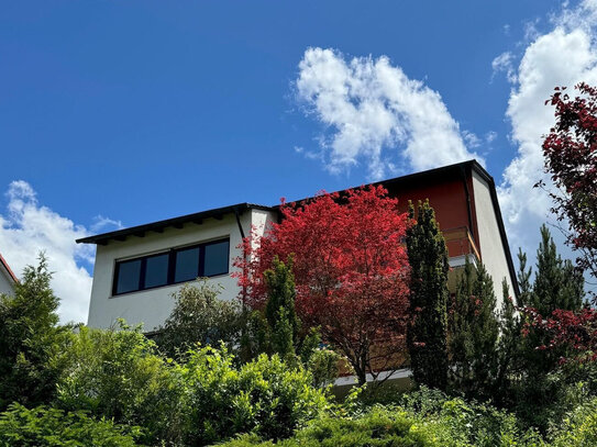 Schönes Ein- oder Zweifamilienhaus in Randersacker mit Blick auf die Weinberge.