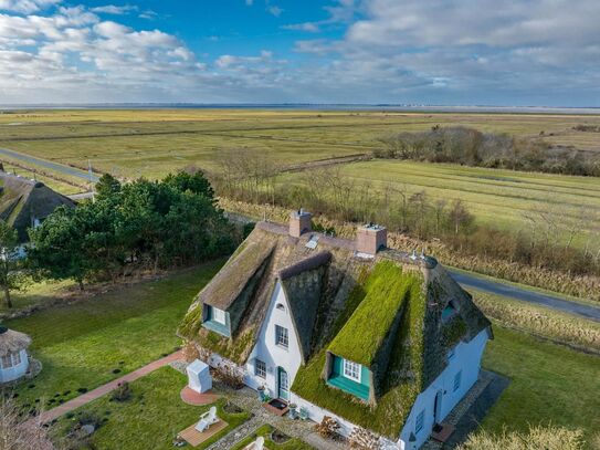 Reetgedecktes Hideaway in Deichlage + Ausblick