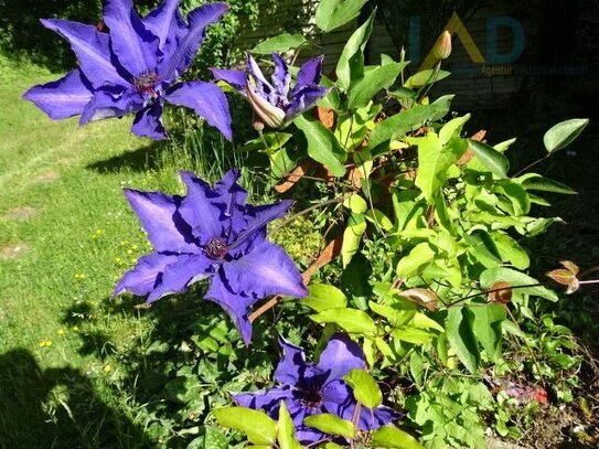 Schöne 2 Zimmerwohnung mit eigenem Garten