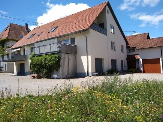 renovierte und geräumige 4,5 Zimmerwohnung mit Balkon