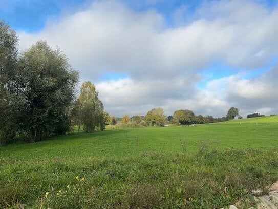 DHH am Ortsrand mit freiem Blick ins Grüne