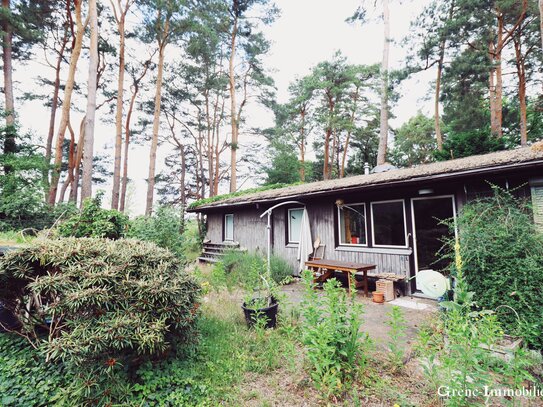 Idyllisches Bungalow & Häuslein im schönen Königs Wusterhausen – Großer Luchsee