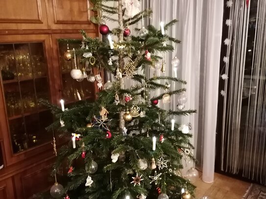 Besinnliche Weihnachten und alles Gute für 2025 !