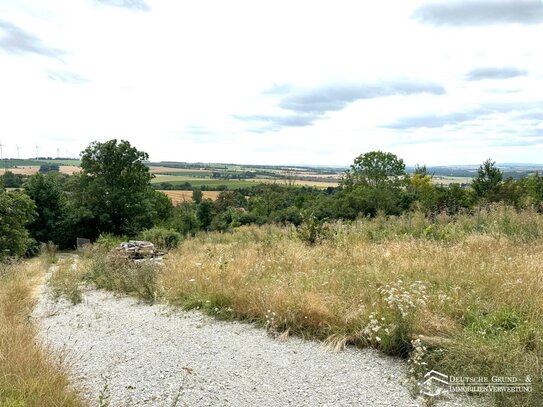 Weinberg mit Wochenendhäuschen und einzigartigem Ausblick in Bergsulza