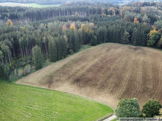 Waldflächen nahe Aichach