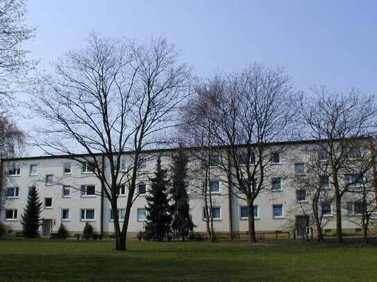 Renovierte Wohnung mit Balkon