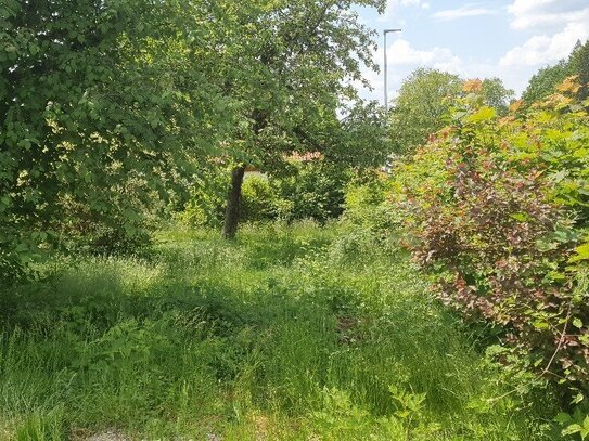 Hier könnte Ihr Eigenheim stehen! Sonniges Grundstück in zentrumsnaher Lage zu verkaufen.