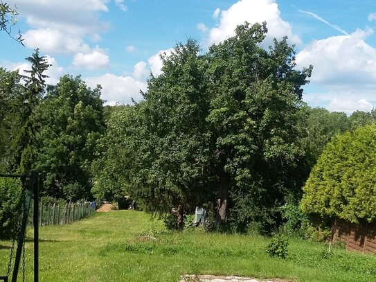 Hier kommt Ihr neues Familiendomizil mit Garten und Balkon in Vogelsberg