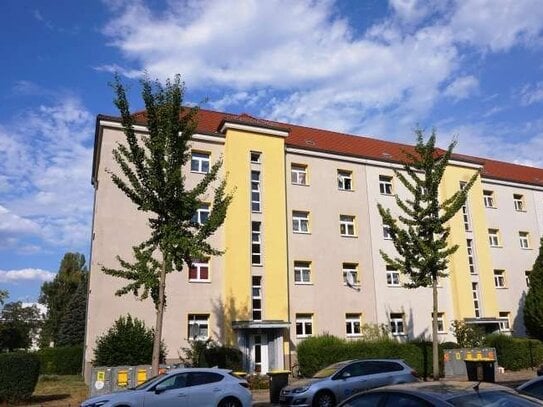 Lichtdurchflutete 3-Raum-Wohnung ** Familien- und WG-geeignet ** Stadt & Natur vor der Haustür!